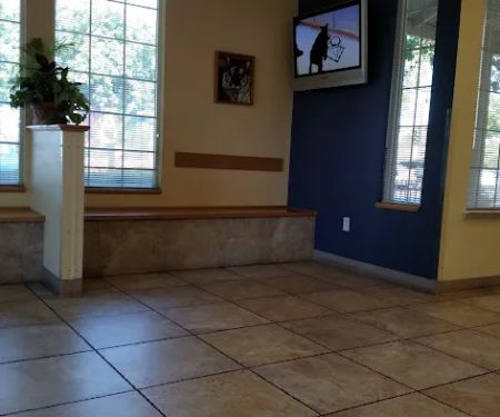 Cordova Veterinary Hospital: Thomas Lori DVM