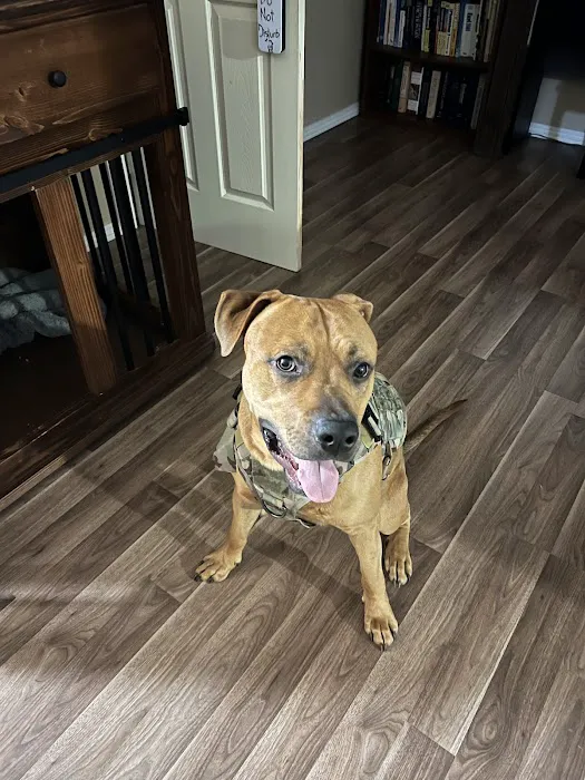 Abel Pet Clinic Picture 5