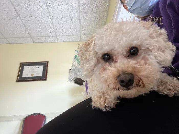 Abel Pet Clinic Picture 1