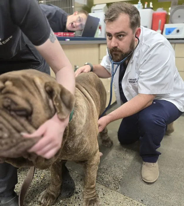 Vetco Total Care Animal Hospital Picture 7