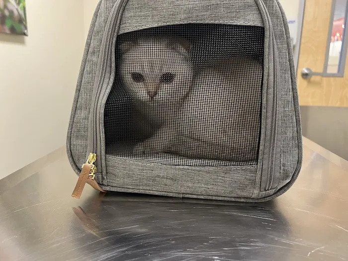 Vetco Total Care Animal Hospital Picture 8
