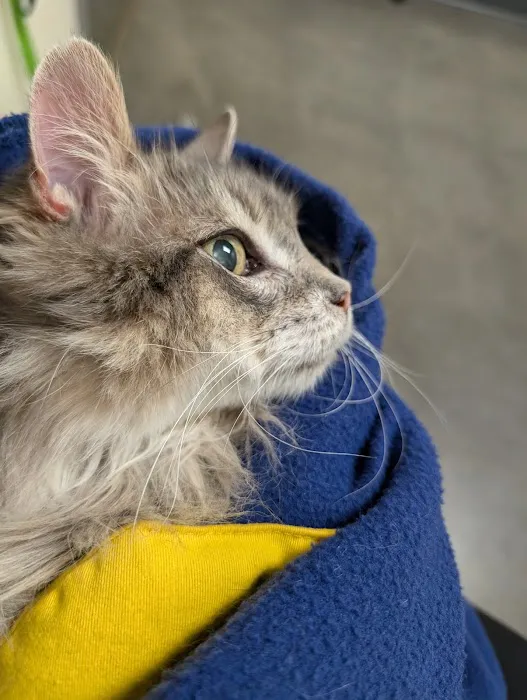 Vetco Total Care Animal Hospital Picture 6