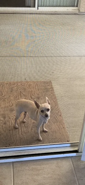 Banfield Pet Hospital Picture 10
