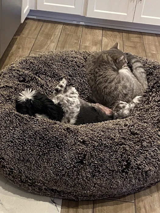Laguna Creek Veterinary Hospital Picture 9