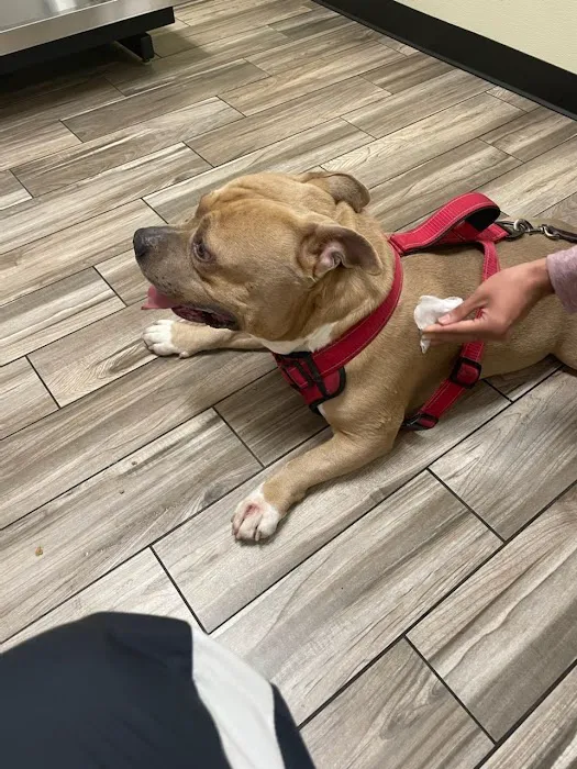 Animal Care Center Picture 9