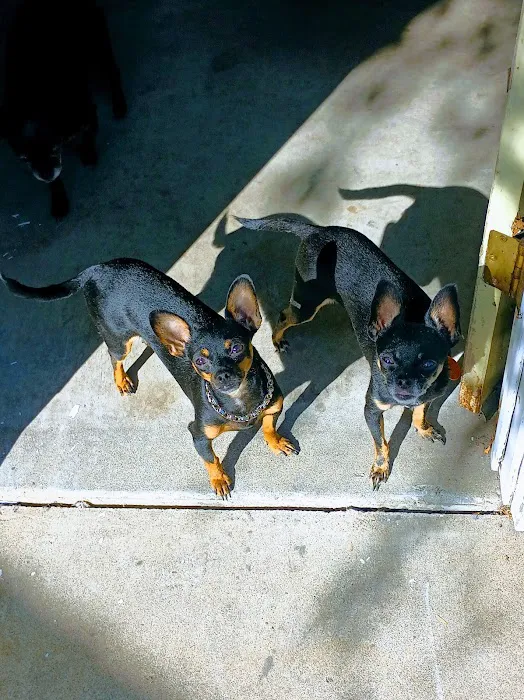 Animal Care Center Picture 8