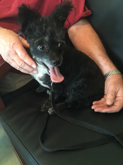 Animal Care Center Picture 10