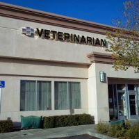 Kittel Family Veterinary Practice Inc. ico
