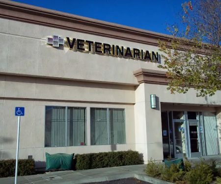 Kittel Family Veterinary Practice Inc.