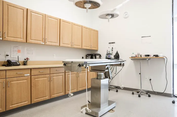 Stonelake Animal Hospital Picture 4
