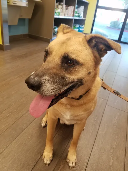 Banfield Pet Hospital Picture 5