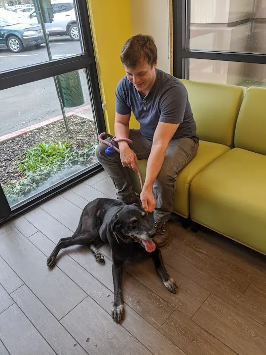 Banfield Pet Hospital Picture 9