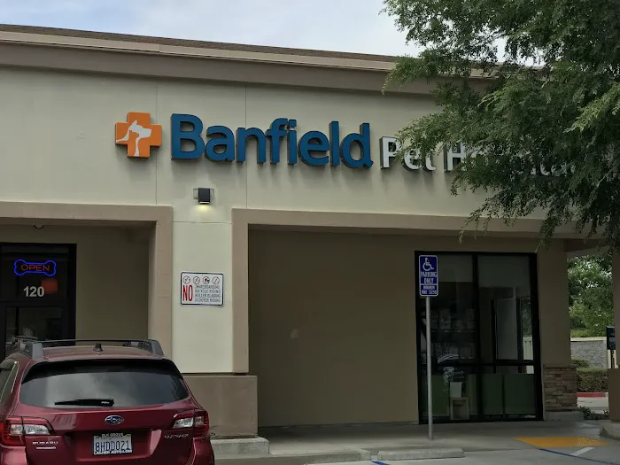 Banfield Pet Hospital Picture 3