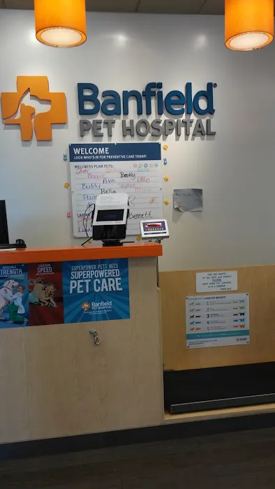 Banfield Pet Hospital Picture 1
