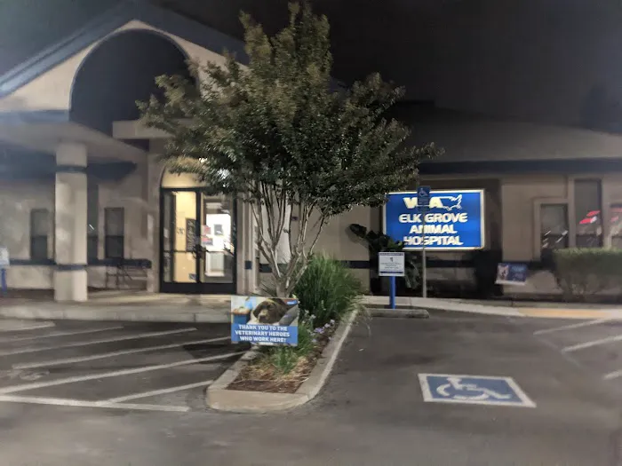 VCA Elk Grove Animal Hospital Picture 10