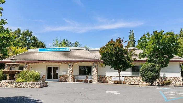VCA Sunset Animal Medical Center Picture 9