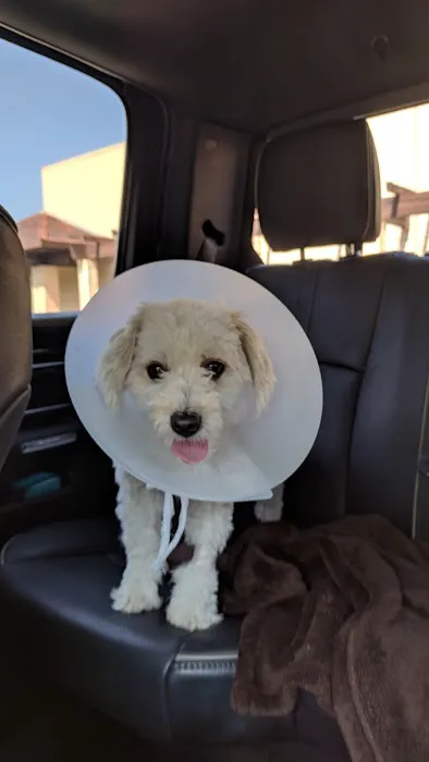 Mercy Pet Hospital Citrus Heights Picture 3