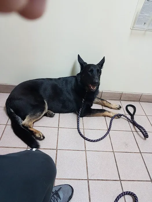 Mercy Pet Hospital Citrus Heights Picture 9