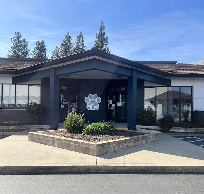 Mercy Pet Hospital Citrus Heights Picture 4