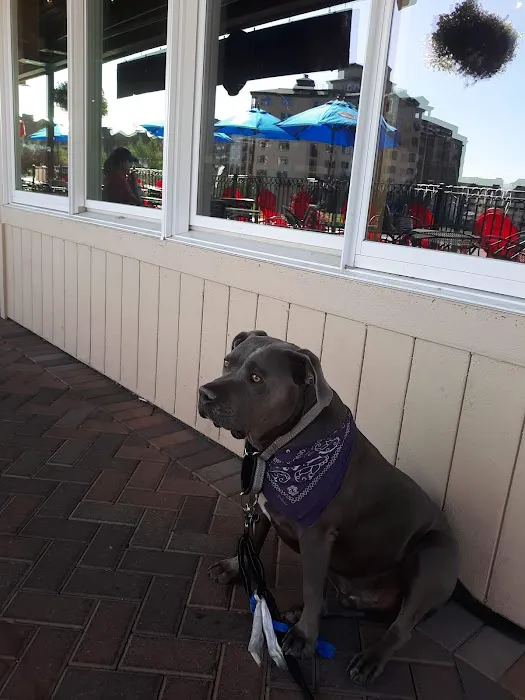 Summer Hills Veterinary Hospital Picture 8