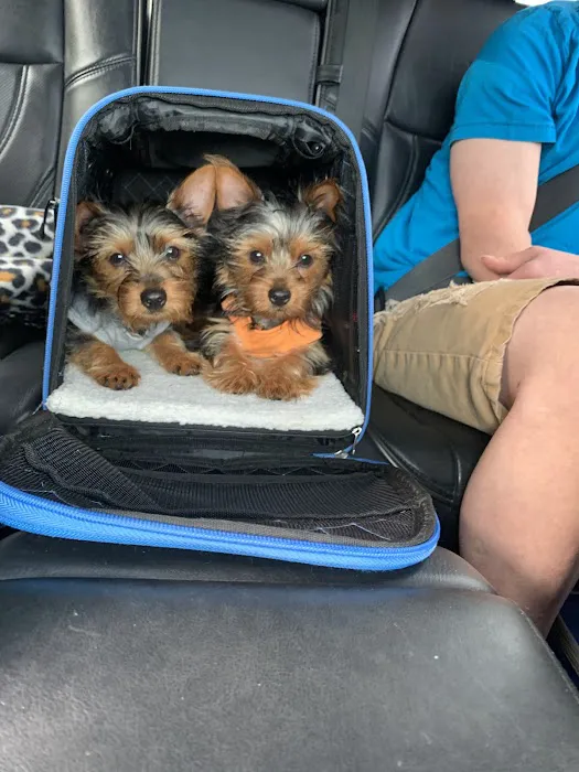 Pet Clinic at Woods Corner - Bruce Radomski DVM Picture 4