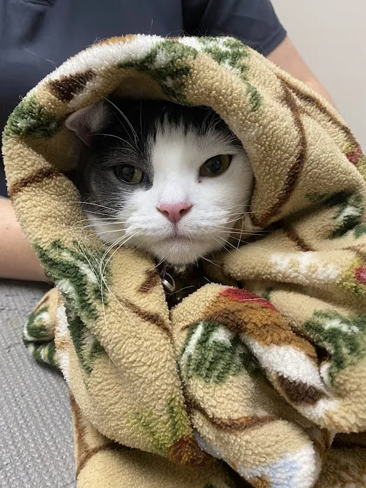 Indian River Veterinary Hospital Picture 4