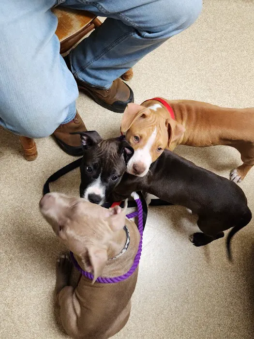 Indian River Veterinary Hospital Picture 7