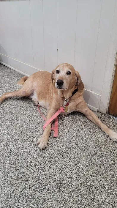 Friendship Veterinary Clinic Picture 1