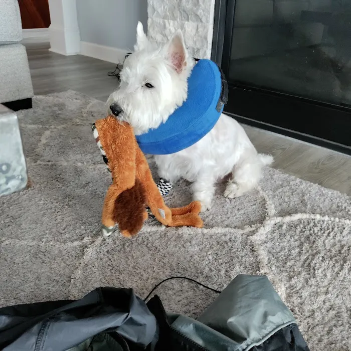 Friendship Veterinary Clinic Picture 6