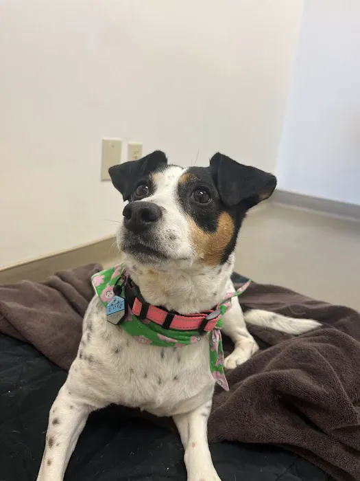 Granby Veterinary Hospital Picture 5