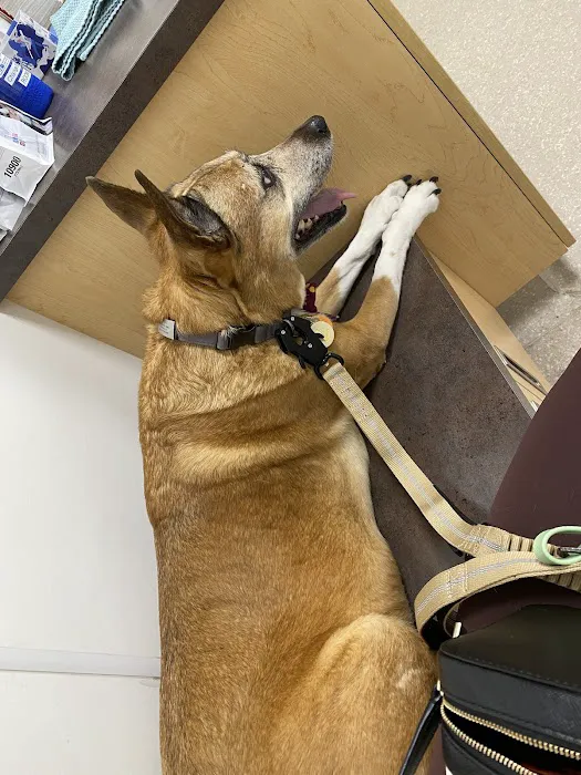 Granby Veterinary Hospital Picture 3