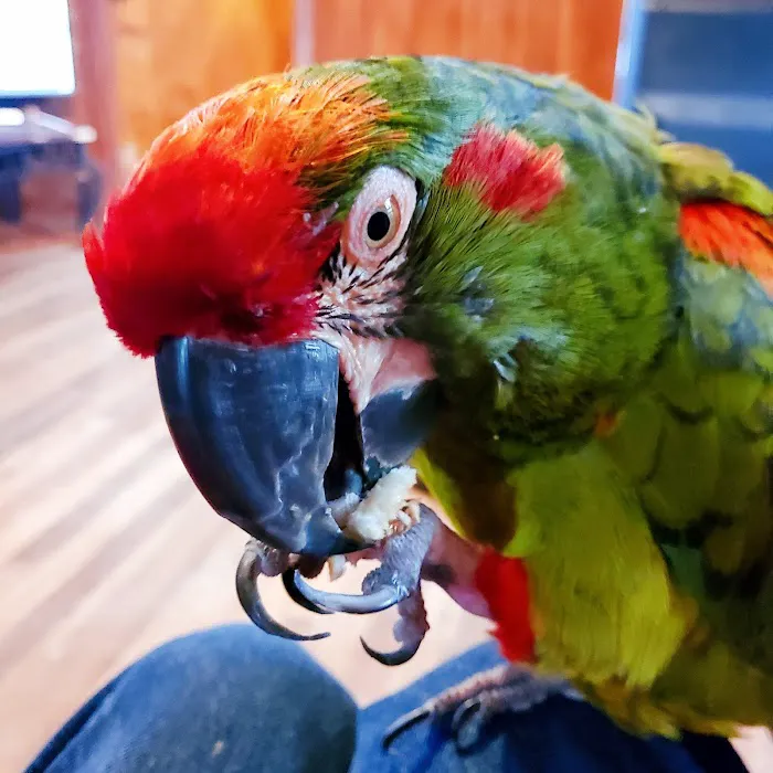 Midway Veterinary Hospital Picture 5
