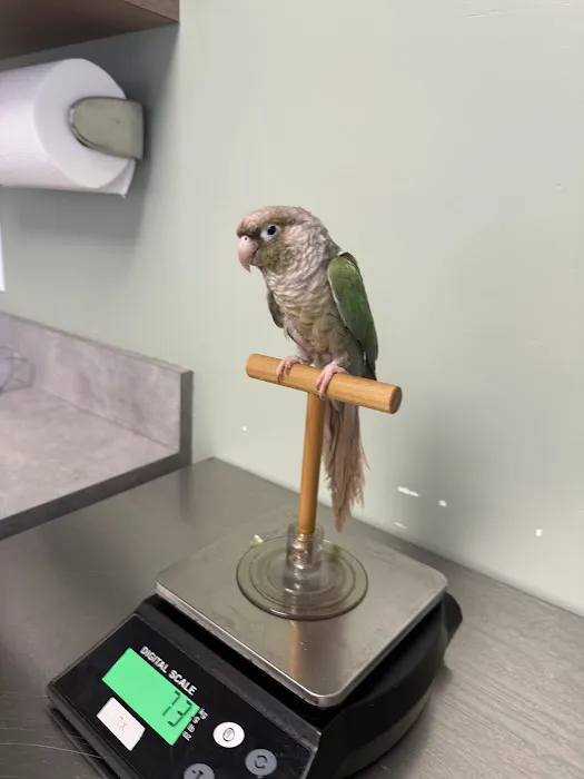 Midway Veterinary Hospital Picture 7