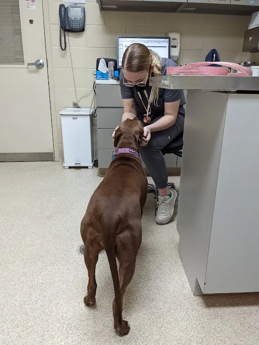 VRA FT. Liberty: Norfolk Veterinary Branch Picture 1
