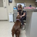 VRA FT. Liberty: Norfolk Veterinary Branch