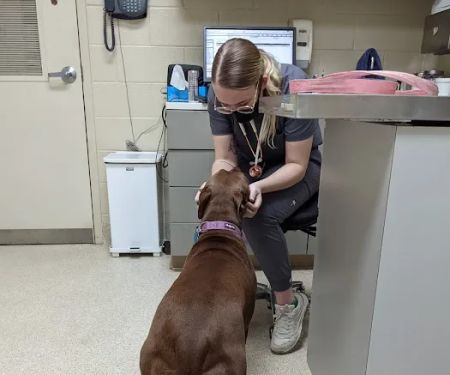 VRA FT. Liberty: Norfolk Veterinary Branch