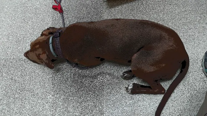 VRA FT. Liberty: Norfolk Veterinary Branch Picture 7