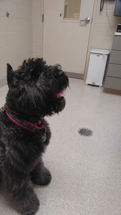 VRA FT. Liberty: Norfolk Veterinary Branch Picture 5