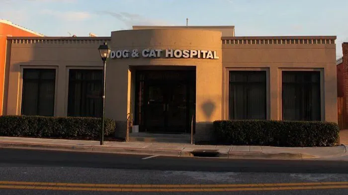 Dog & Cat Hospital Picture 2