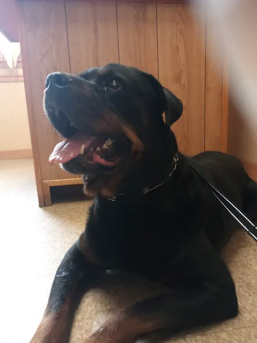 West Animal Clinic Picture 2