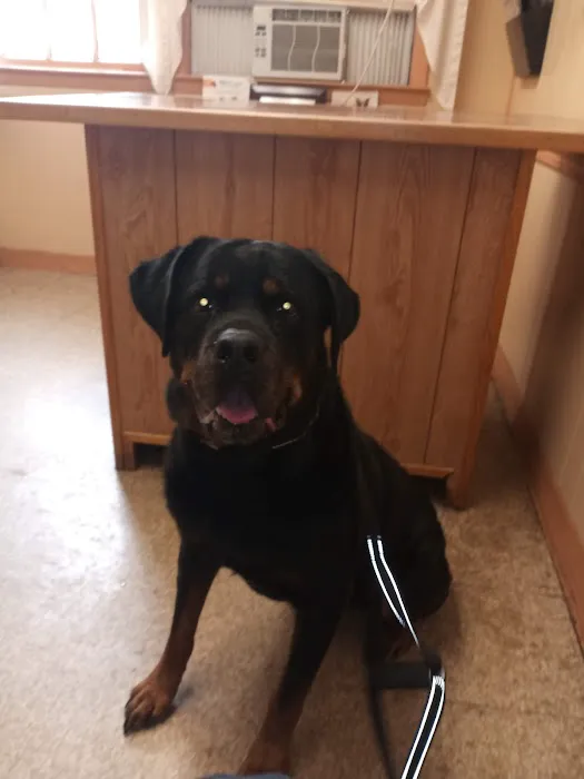West Animal Clinic Picture 5