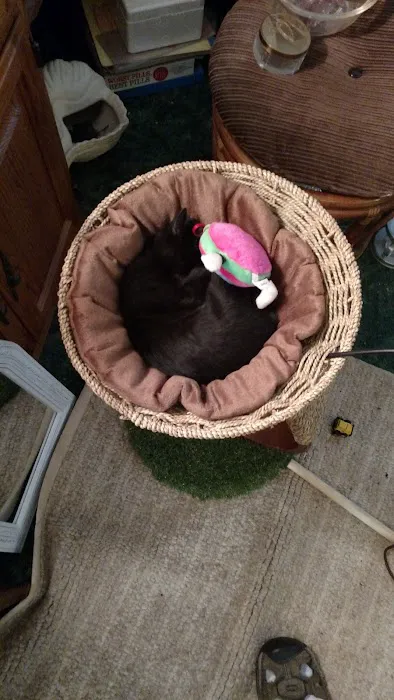 West Animal Clinic Picture 6