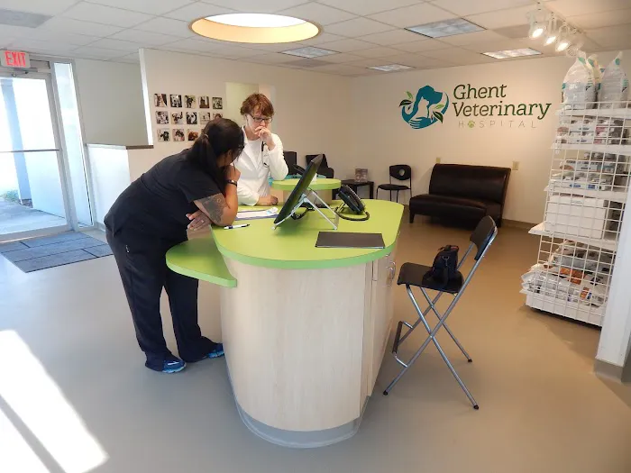 Ghent Veterinary Hospital Picture 2
