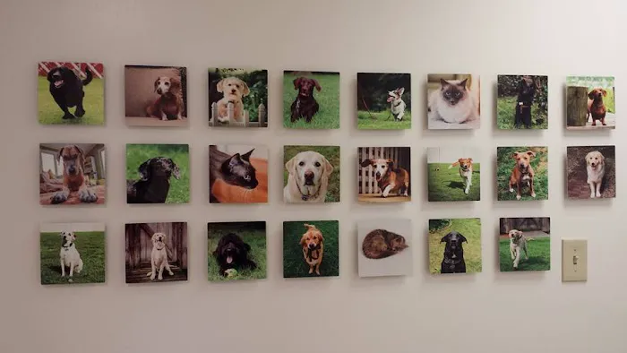 Ghent Veterinary Hospital Picture 4