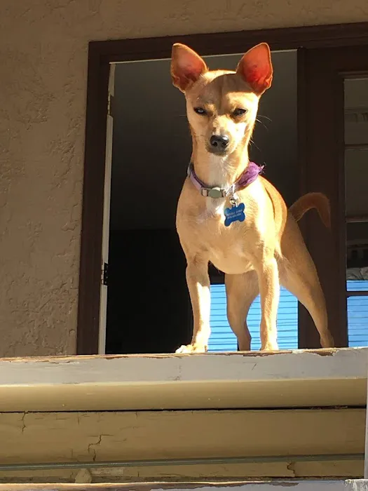 Rancho Park Veterinary Clinic Picture 2