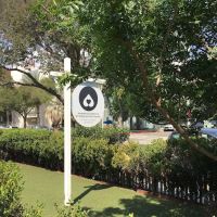 Dr Shipp's Animal Hospital ico