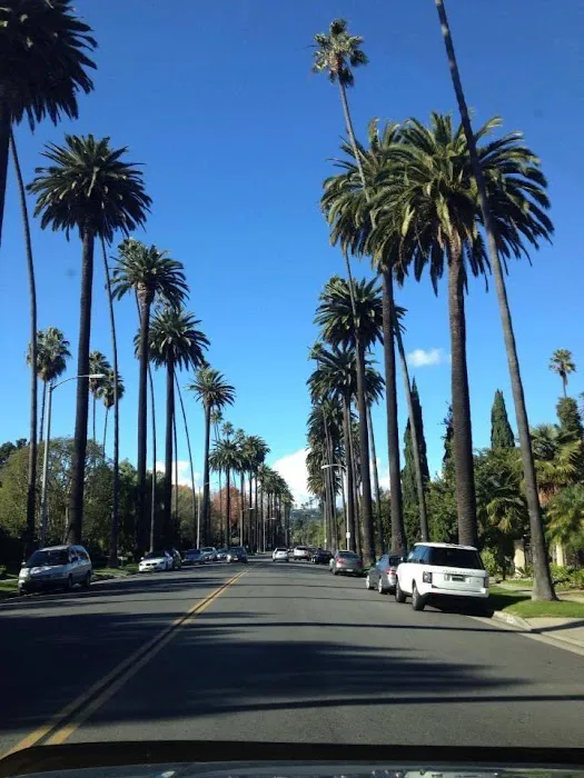 Beverly Hills Small Animal Hospital Picture 3
