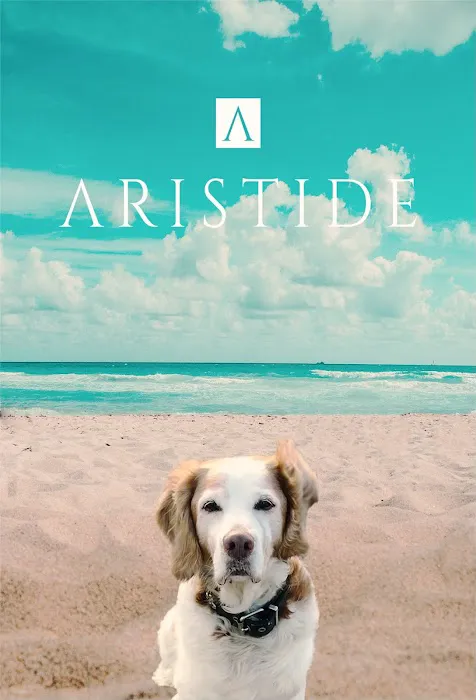 Aristide, Mobile Veterinarian Picture 5