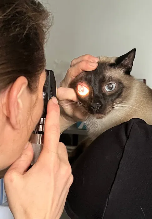 Aristide, Mobile Veterinarian Picture 2