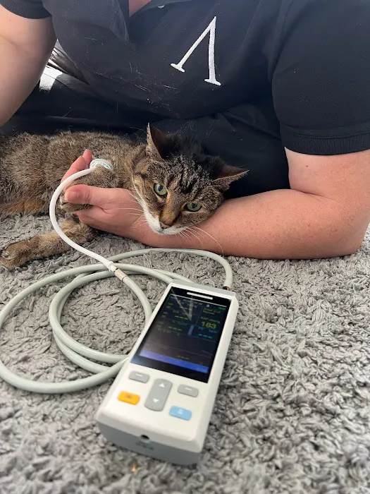Aristide, Mobile Veterinarian Picture 7